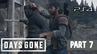 Days Gone Part 7 Walkthrough | PS4