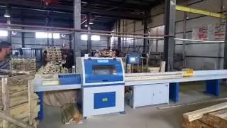 SF601 wood cut off saw for woodworking