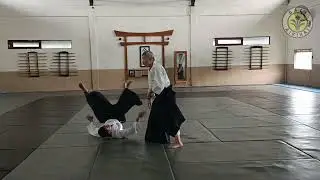 Yokomenuchi Shiho Nage