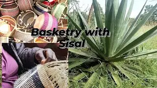 Use of sisal in weaving baskets/bags and its functionality today