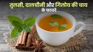 तुलसी, दालचीनी और गिलोय चाय के फायदे || Tulsi Cinnamon Giloy Tea Benefits