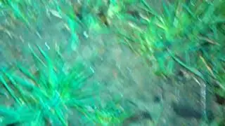 VIDEO0048