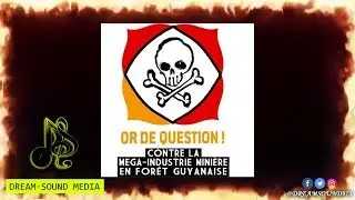 Snipa Ft 500 Fr&egrave;res - Non (Contre La Montagne D'Or)