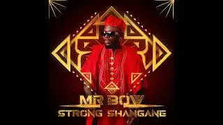 Mr Bow feat Ziqo safadinha 2025  1080p