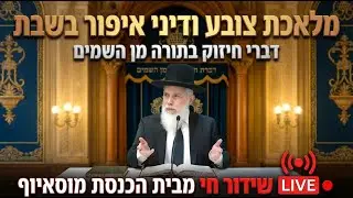 מלאכת צובע ודיני איפור בשבת - דברי חיזוק בתורה מן השמים  - הגאון רבי זמיר כהן ראש ישיבת אבני נזר