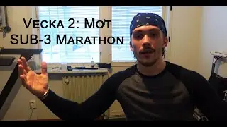 Vecka 2: Mot SUB-3 Marathon