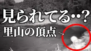 夜のビオトープに異変。里山の頂点「フクロウ」が映った日