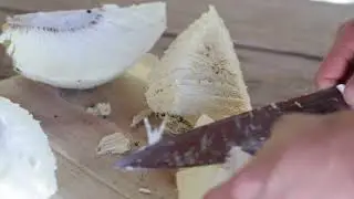 ʻUlu with Hōkūao Pellegrino of Nohoʻana Farm