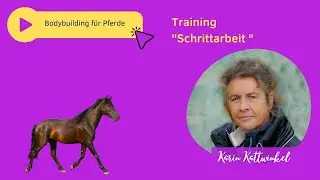 Bodybuilding Schrittarbeit | Pferdetraining | Karin Kattwinkel