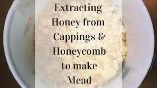 How to Extract Honey from Wax Cappings and Comb to make Mead