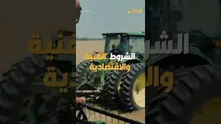 Details of the major Russian wheat deal to Syria