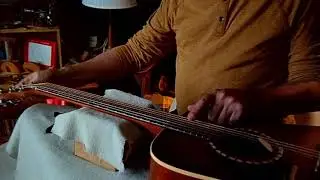 Guitar set-up. Art & Lutherie Cedar Antique Burst