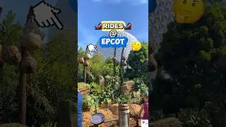 What Rides Are @ EPCOT?! 🤔🎢 (Disney World Attractions & Rides)
