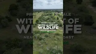 Texas Land For Sale | 11 Acres Near The Texas Coast! #realestate #property #investing #home #land