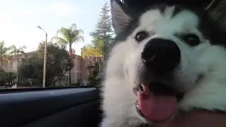 HELLO MY NAME IS SKY