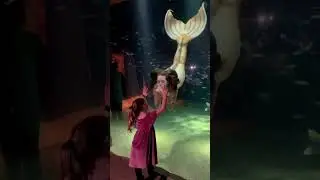 mermaid most beautiful video with little girl❤️❤️😍😍