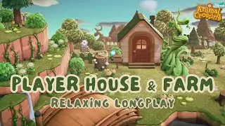 Fairycore Player House 🍀 Animal Crossing Longplay No Commentary