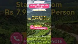 3 Days Munnar Honeymoon Packages Starting @ ₹7,999 Per Person | Munnar Tour Packages for Couple