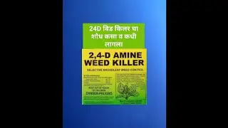 How and when was 24D weed killer invented?