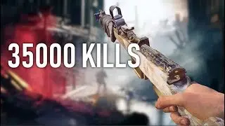 What 35000 Assault Kills Experience Looks Like on Battlefield 5.....