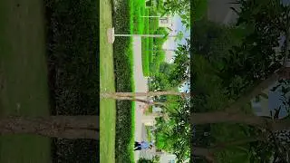 NIU Baris 360 view #360views #noidainternationaluniversity