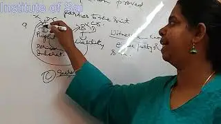 Indian Evidence Act Video Lecture 5 for Law courses and Law exams by Advocate Jayashree