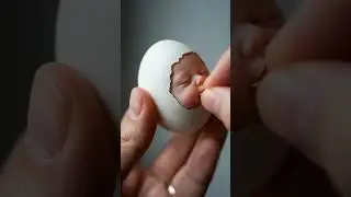Smiling Egg Delight 🥚✨