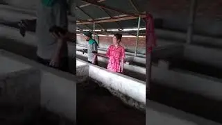 Visiting, learning Vermicompost from Bele Asheibam, Khoibu Andro, 5thSept.2021, Manipur, 🇮🇳
