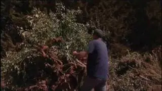 Israel's Water Crisis - Land Of Promise