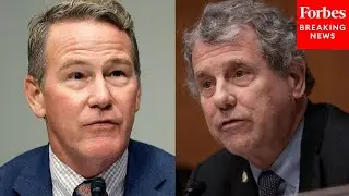 Ohio Senate Election Is 'Very Much Up For Grabs': Emerson Pollster