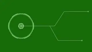 Roand Outline Element Green Screen