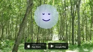 ✨ Guided Meditation for Inner Peace with MySerenify | AI meditation writer, AI meditation gener