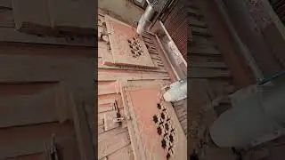 Amazing Stone design machine #machine #design #shorts #viralvideo #amazing