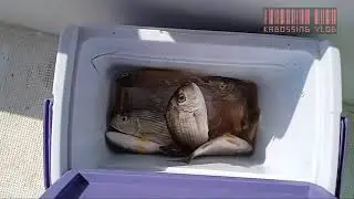 QATAR FISHING @ AL WAKRA PORT PART#2//by kabossing vlog#44ofwlife