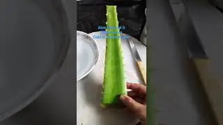 Are you suffering from gastric? please try this Aloe Vera drink to relief your gastric.