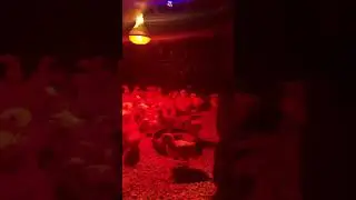 100 Chicks growth day 15 - night view