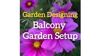 #Gardendesigning #rooftopdesigningideas #Terracegarden #gardenTutorial  #gardeningideas #planters