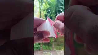 PRAN pudding litchi flavour asmr review || #shorts #trending #asmr