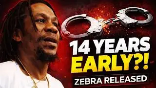 Zebra освобождена из тюрьмы на 14 лет раньше срока: исполнитель в стиле дэнсхолл Zebra вышел на с...