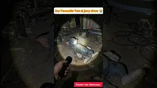 Tom & Jerry Cartoon Studio Abandoned?! 😱 Found Footage