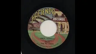 Majic  - Amor Dormido - Hacienda Records hac-299-b