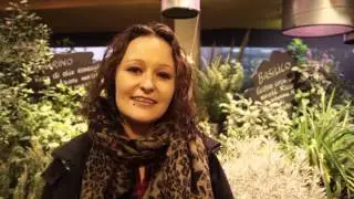 Hackathon EXPO 2015 - Feeding Fair - Milano: Google Food Field