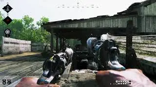 Silent Nuisance - Hunt Showndown (clip)