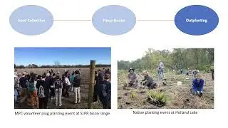 Native Propagation   Sam Talbot