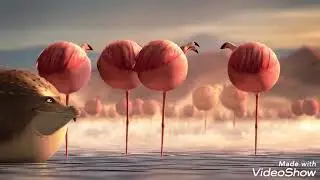What happened if animal were round?  Funny collection