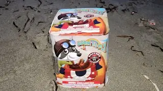 Born To Fly by Raccoon Fireworks 200g 