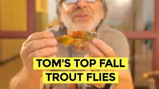Tom's Top 10 Fall Trout Flies