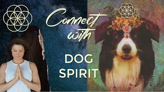 Dog Spirit Medicine Meditation | Connect with Loyalty, Protection & Unconditional Love