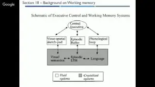 uiuc working memory and executive control lecture