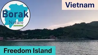 Borak Nature 13# Nature Walk | Relaxing Sound | Beach | Freedom Island | Lan Ha Bay | Vietnam